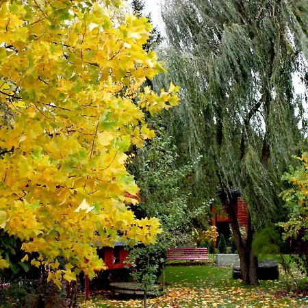 In Near Forest Edge