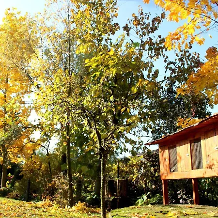 A Modern House On The Edge Of The Forest Holiday home *